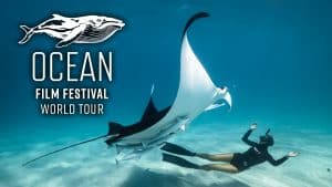 Ocean 900x506 Logo