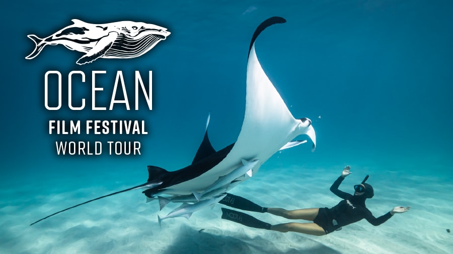 Ocean 900x506 Logo